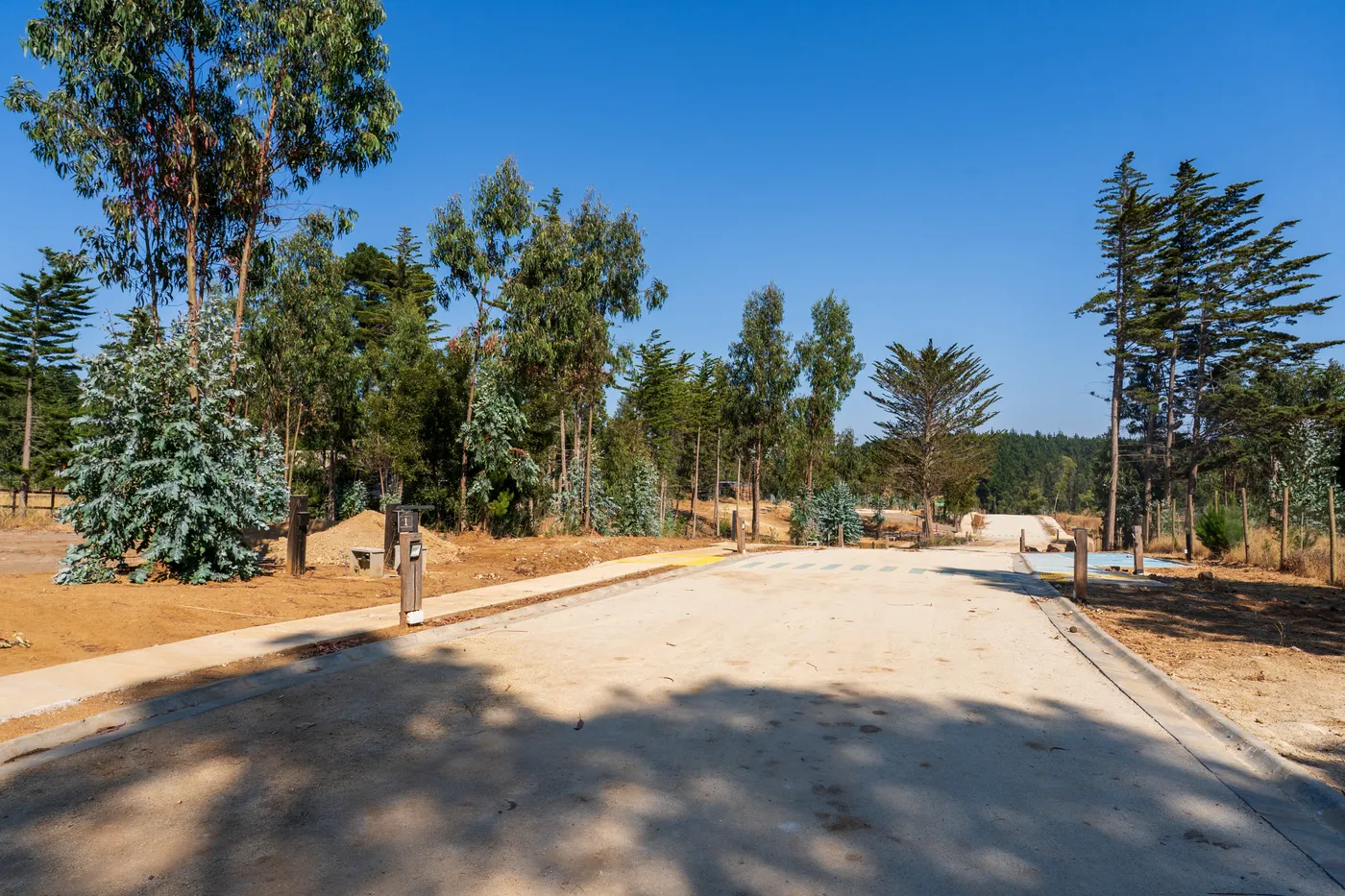 Quebrada Küyen — vegetación nativa