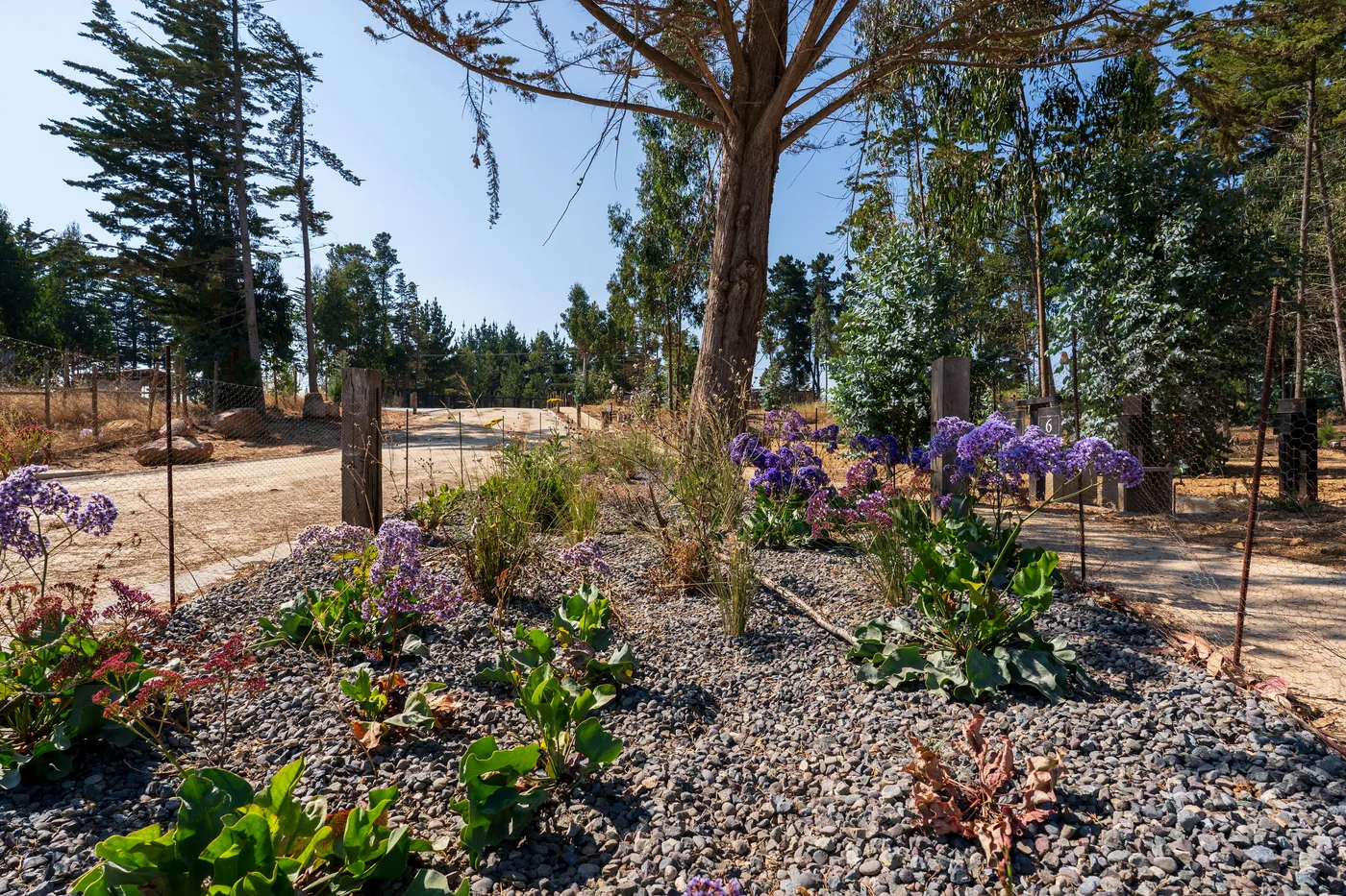 Quebrada Küyen — naturaleza costera