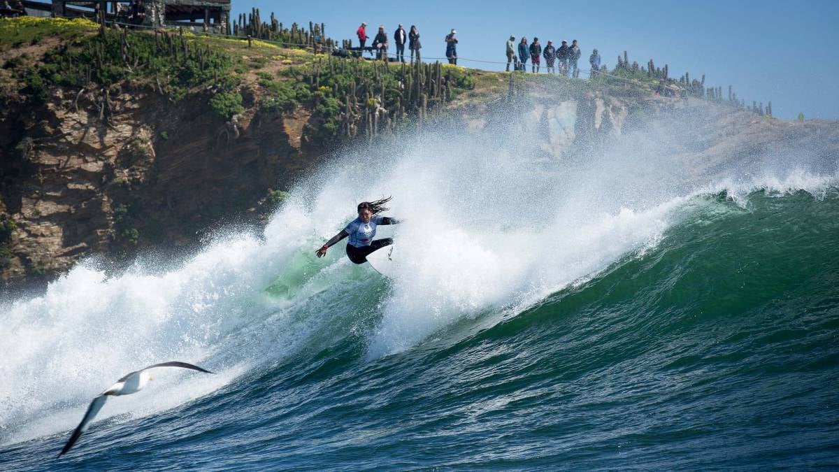 Surf en Punta Lobos, Pichilemu